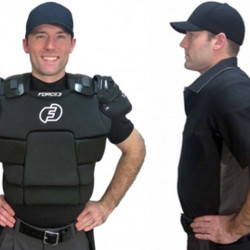 Does This Umpire Chest Protector Make Me Look Fat?, Blog